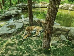 -北京野生动物园