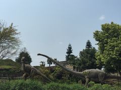 -自贡恐龙博物馆