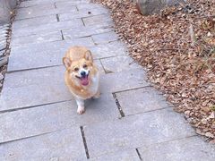 -赤峰美林谷四季山度假酒店