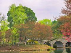 -梁鸿国家湿地公园