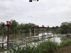 -长兴太湖图影湿地文化园