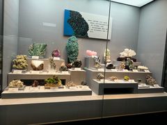 -湖南省地质博物馆