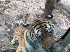 -西安秦岭野生动物园