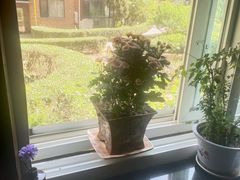 -若石足道SPA 连锁(丹东街店)