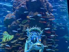 -成都浩海立方海洋公园