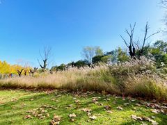 -Supine Bistro溯泮餐厅