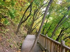 -帽儿山国家森林公园