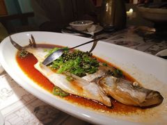 青花椒白水鱼-江南郡府(天宝路店)