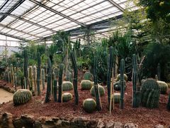 -呀路古热带植物园