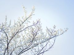 -长春公园(普阳街道)