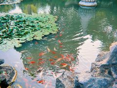 -玉女潭景区