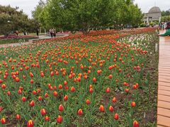 -长春公园(普阳街道)