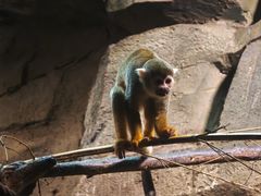 -洛阳龙门海洋馆