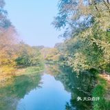 秋天去哪看红叶银杏，来奥森公园吧