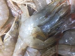 鲜虾-格瑞欧海鲜自助烤肉火锅(光彩店)