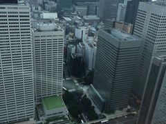 -东京都厅舍