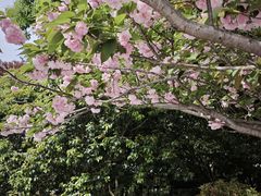 -杨高南路(地铁站)