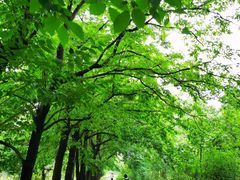 -国家植物园南园