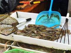 -毕家疃综合市场