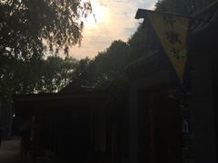 -白洋淀景区
