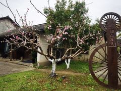 -乌村