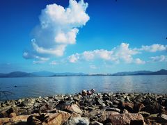 -深圳湾公园(南山区)