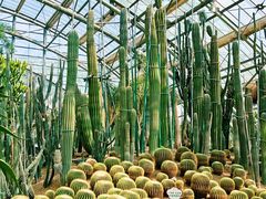 -南山植物园