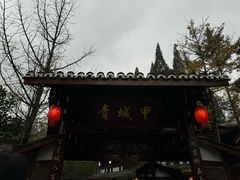 -青城甲(青城山店)