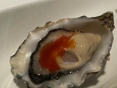 -Oyster Talks 四度蚝法餐厅