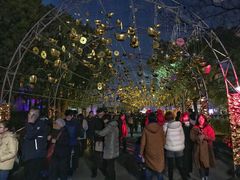 夜晚-锦江乐园舞狸花花游园会(夜场专享)