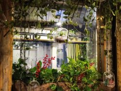 -青青一生美皮肤管理