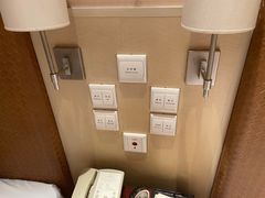 -电谷雅阁国际大酒店