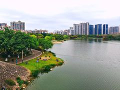 -飞来湖湿地公园