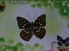 -上海昆虫博物馆