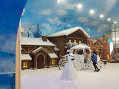 -世界之窗阿尔卑斯冰雪世界