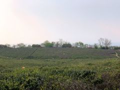-南京市江宁方山