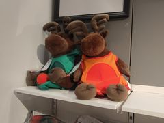 -宜家家居(哈尔滨商场店)