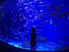 -成都浩海立方海洋公园