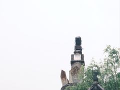 -玉湖村