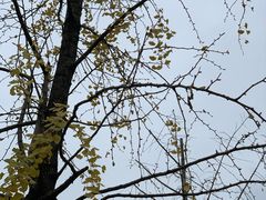 -三峡古玩城(泰古广场店)