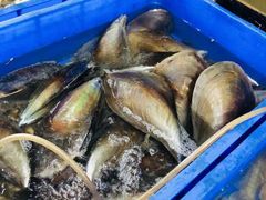-QQ海鲜餐厅
