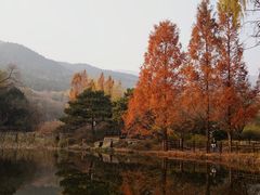 -国家植物园