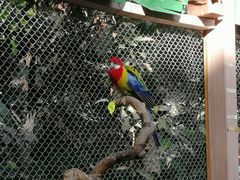 -南宫五洲植物乐园