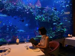 -迪拜帆船酒店海底餐厅