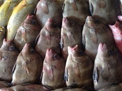 iphone_upload_pic-合家小菜餐馆(新诚花苑店)