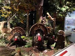 -陕西自然博物馆