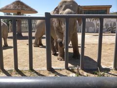 -新疆天山野生动物园