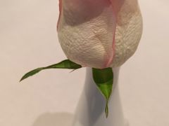 -虹御轩·传承江浙菜(虹桥店)