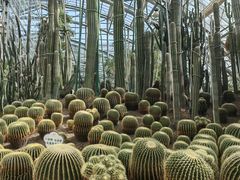 -南山植物园