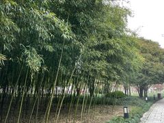 -上海方塔园